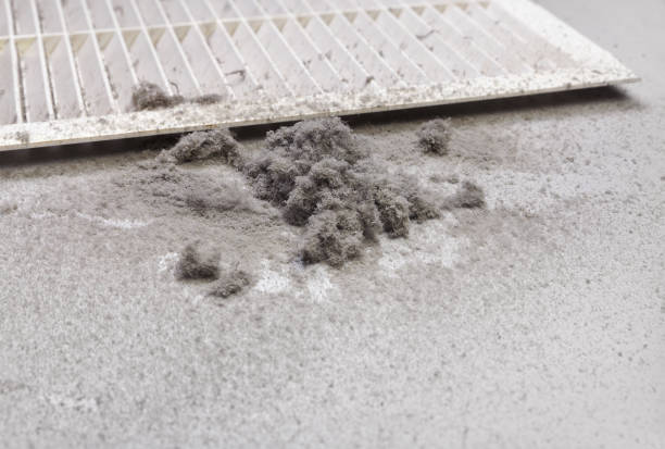 Best HVAC Duct Inspection Services  in Upland, CA