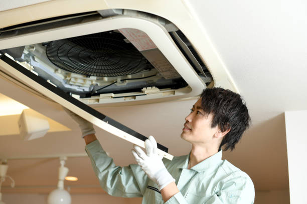 Best Air Duct Mold Removal  in Upland, CA